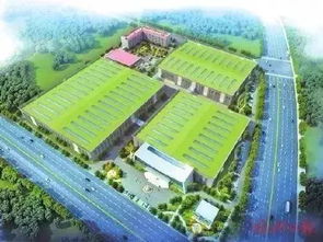 三甲醫(yī)院 國際學(xué)校 福州這個區(qū)域越來越火 今年已完成項目投資37億元