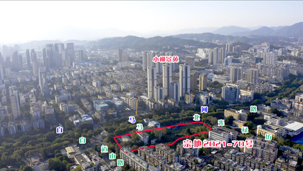 福州年內最大土拍收官，41家企業競逐攬金143億，市場熱度幾何？